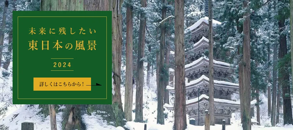 未来に残したい東日本の風景2024ページへの画像リンク