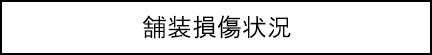 舗装損傷状況のキャプションのイメージ画像