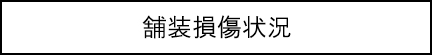 舗装損傷状況キャプションのイメージ画像